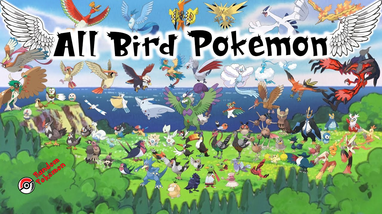 pokemon bird name 